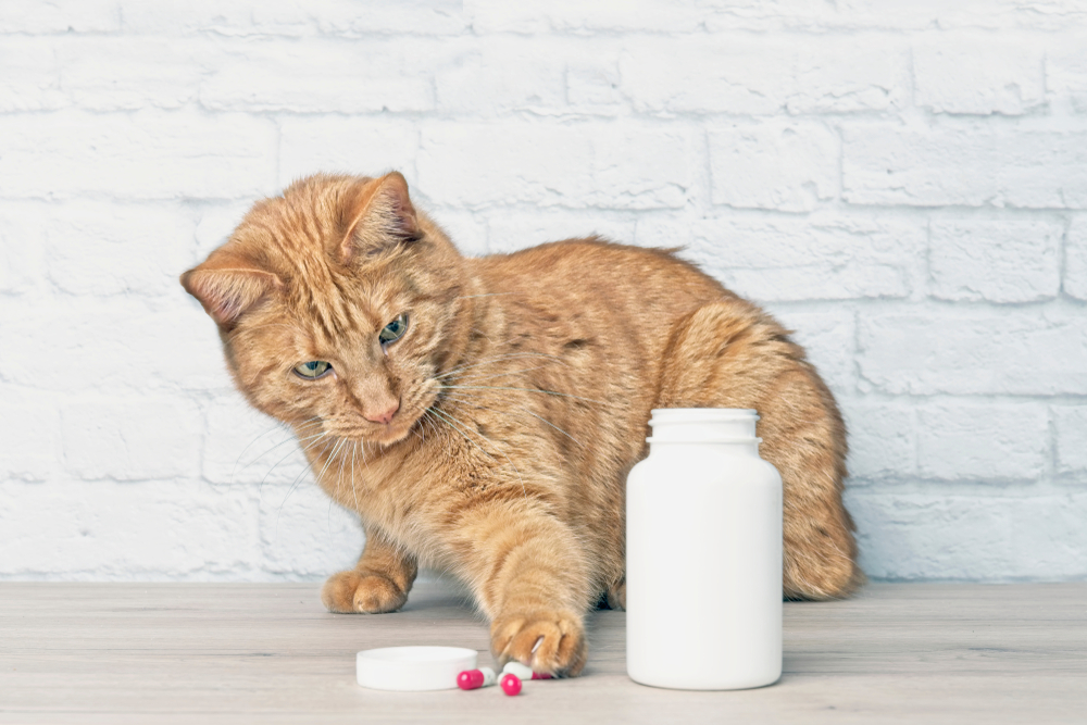 An orange tabby cat sits on a wooden table next to an open white pill bottle, reaching a paw toward several red and white capsules spilled on the surface.