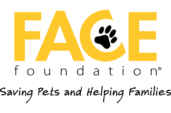 Face Foundation logo
