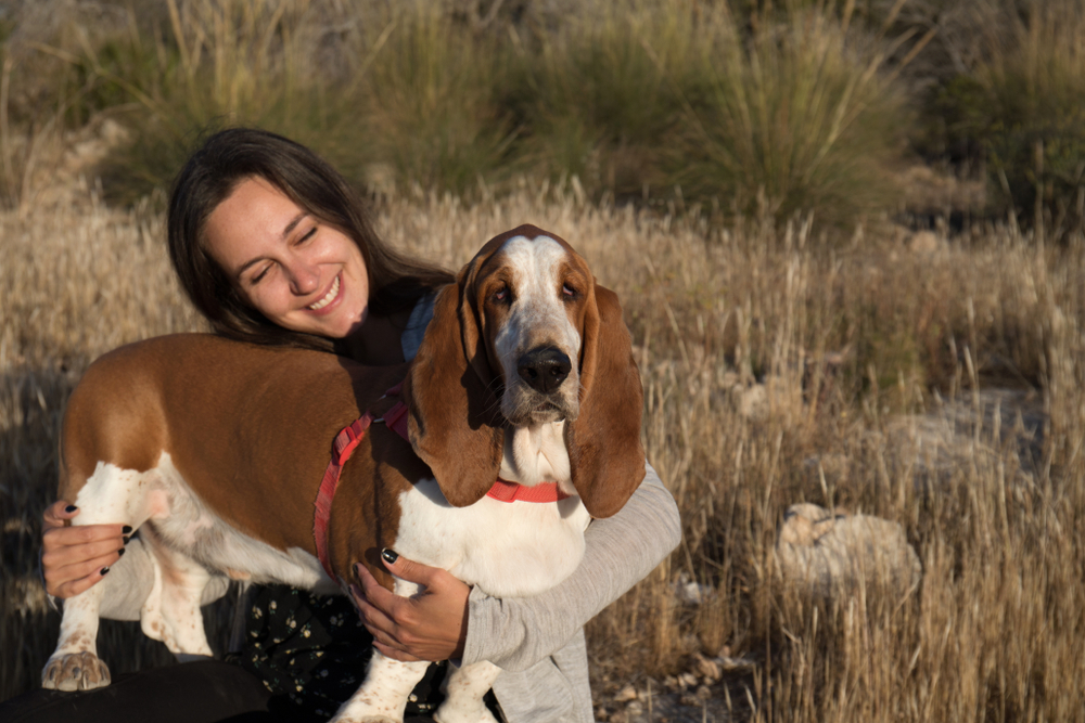 Girl with her dog outdoors, illustrating foxtail dangers for pets in California