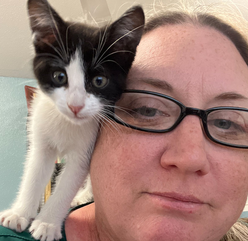 Veterinarian performing a routine wellness exam on a pet at Valley Center Vet Clinic in CA
