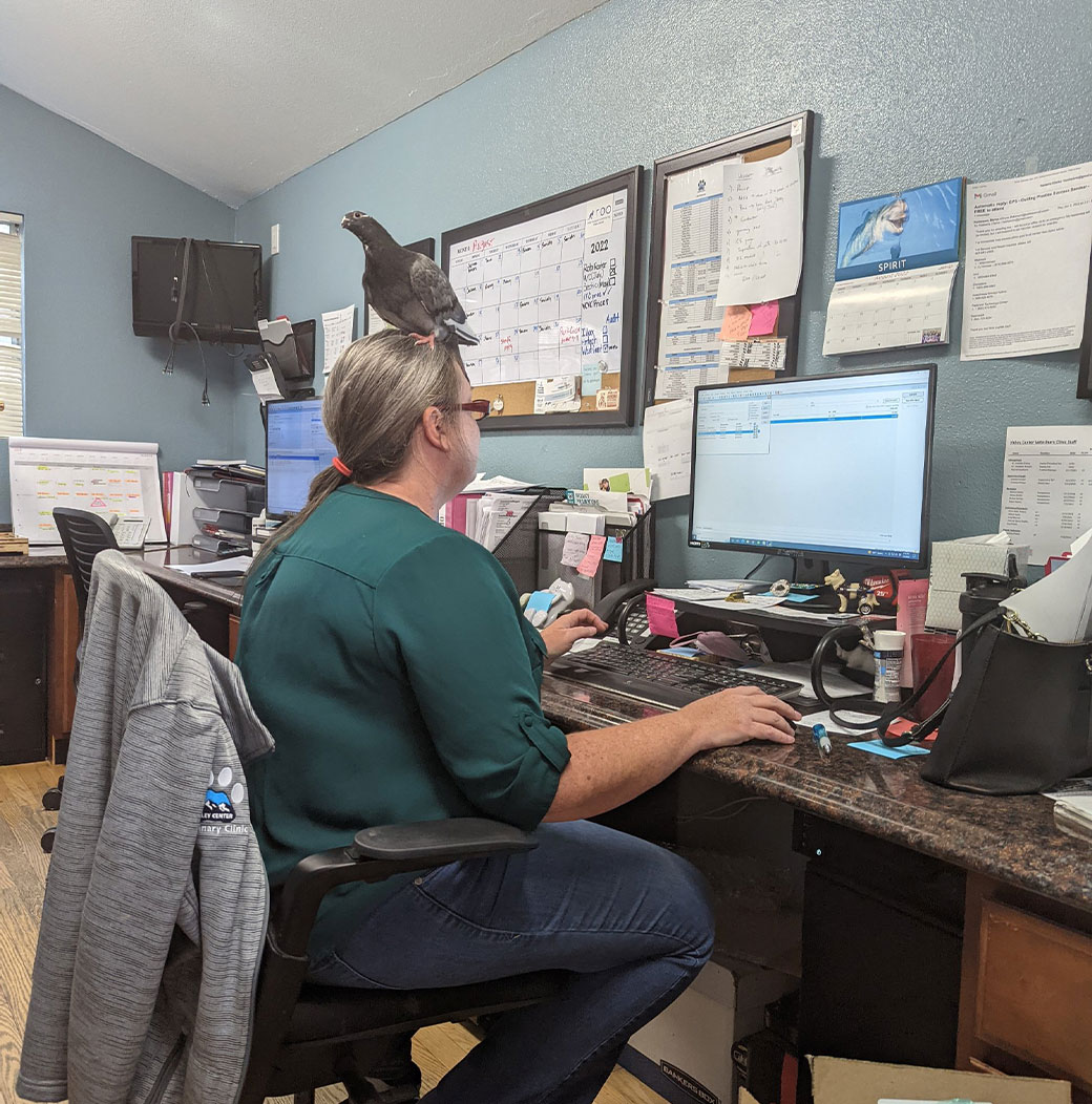 Veterinary professional at Valley Center Veterinary Clinic on the careers team
