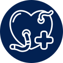 Heartworm lifecycle illustration for dog and cat prevention and treatment education