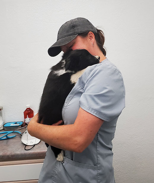 Veterinary care team at Valley Center Veterinary Clinic in Valley Center, CA
