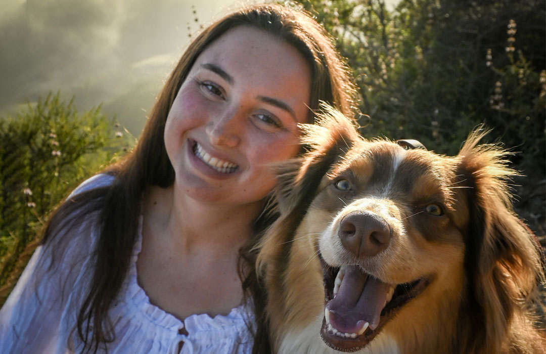 Pet receiving veterinary treatment at Valley Center Veterinary Clinic
