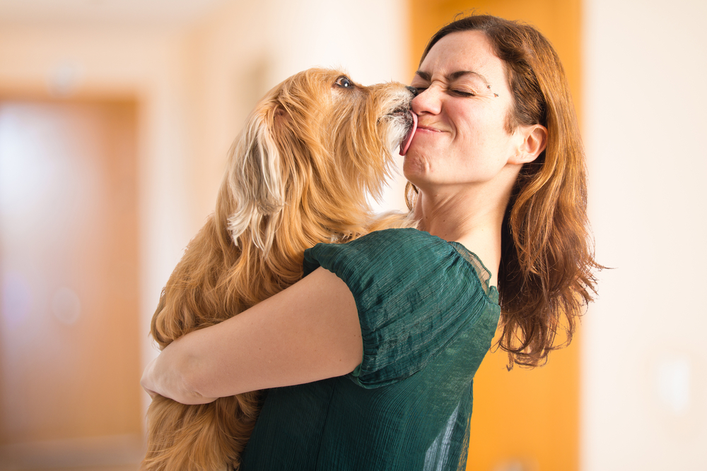 Dog lovingly licking its owner's face indoors, celebrating the human-pet bond