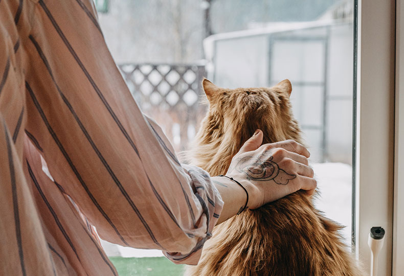 Compassionate veterinarian comforting a pet during end-of-life care services
