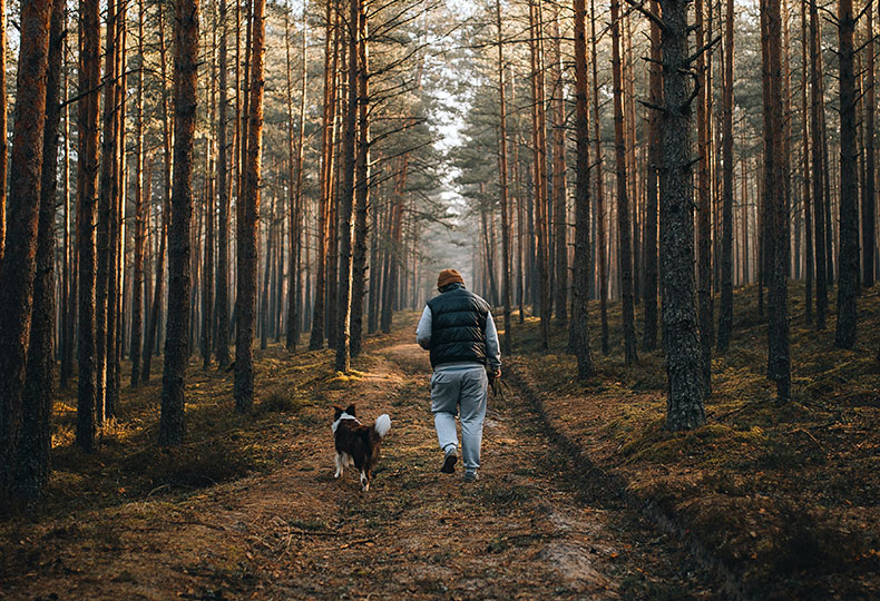 Caring veterinary team offering compassionate end-of-life services for pets
