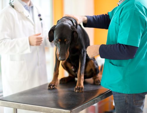 Lumps and Bumps: When Is a Mass an Emergency?