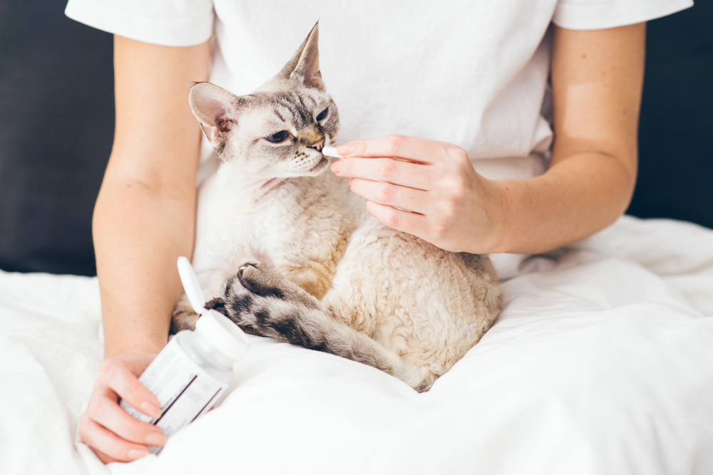 Woman cuddling her pet, representing preventive health measures against heartworm disease.